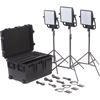 Picture of Litepanels Astra 6X  Traveler Trio Gold Mount Kit