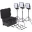 Picture of Litepanels Astra 6X  Traveler Trio Gold Mount Kit