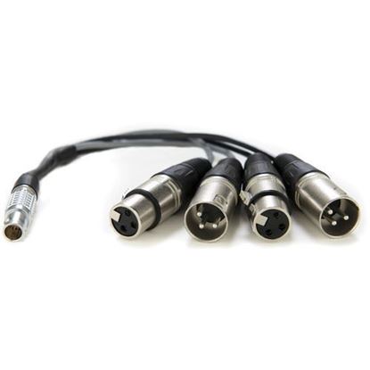 Picture of Atomos XLR Breakout Cable (in / out)
