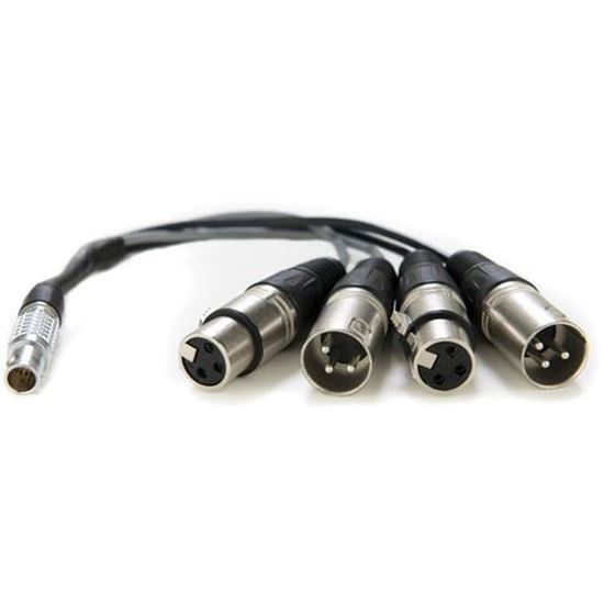 Picture of Atomos XLR Breakout Cable (in / out)