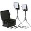Picture of Litepanels Astra 6X  Traveler Duo  Gold  Mount Kit