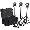 Picture of Litepanels Sola 4+ Traveler Kit