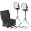 Picture of Litepanels Astra 3X Traveler Duo  Gold  Mount Kit
