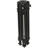 Picture of Sachtler CF-100ENG HD 2CF Carbon Fiber HD Tripod Legs