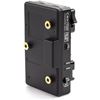 Picture of Wooden Camera - C-Box (Converter, Gold Mount)
