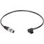 Picture of Wooden Camera - D-Tap to 4pin XLR Female Straight (20")
