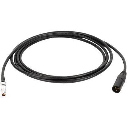 Picture of Wooden Camera Alterna Cables - 4pin XLR Male to Canon C200, C200B, C300mkII (Straight, 120")