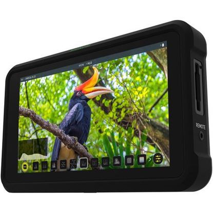 Picture of Atomos Shinobi 5'' HDR Photo & Video Monitor