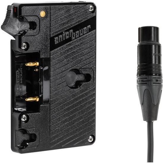 Picture of Wooden Camera - WC Gold Mount (XLR 4 Pin)