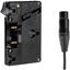 Picture of Wooden Camera - WC Gold Mount (XLR 4 Pin)