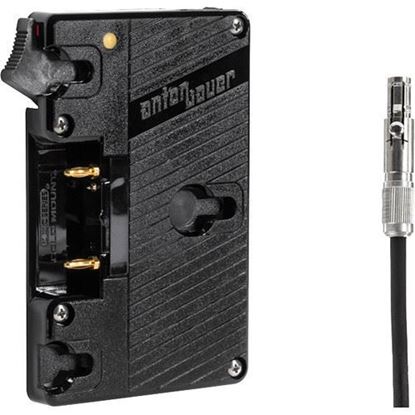 Picture of Wooden Camera - WC Gold Mount (Odyssey 7Q)