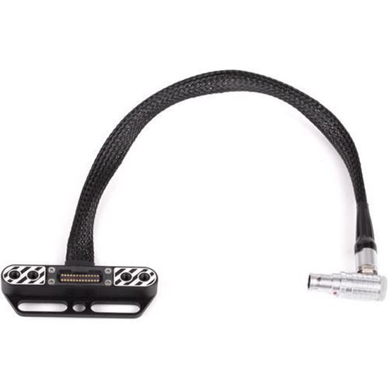 Picture of Wooden Camera - RED Male LEMO Compatible to Female Pogo LCD/EVF Cable (12", Weapon/Scarlet-W/Raven)