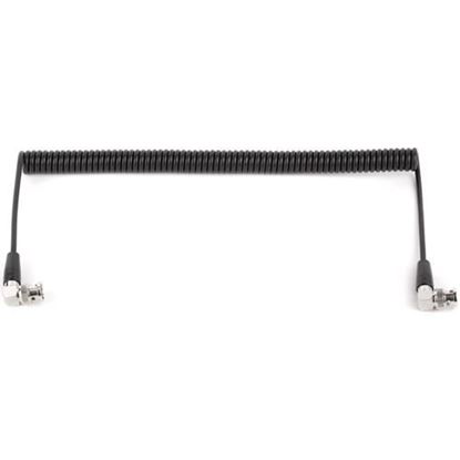 Picture of Wooden Camera - WC Coiled BNC to BNC (20")