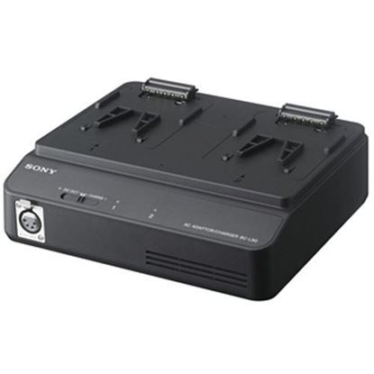 Picture of Sony Battery Charger