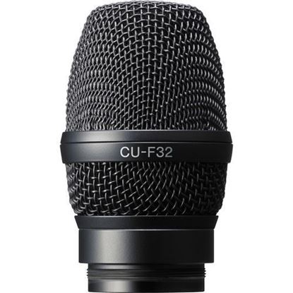 Picture of Sony Capsule unit