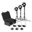Picture of Kinotehnik Practilite 602 LED Bi-Color Fresnel 3-Light Kit