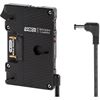 Picture of Wooden Camera Pro Gold Mount (Sony FS7, FS5, Panasonic EVA1)