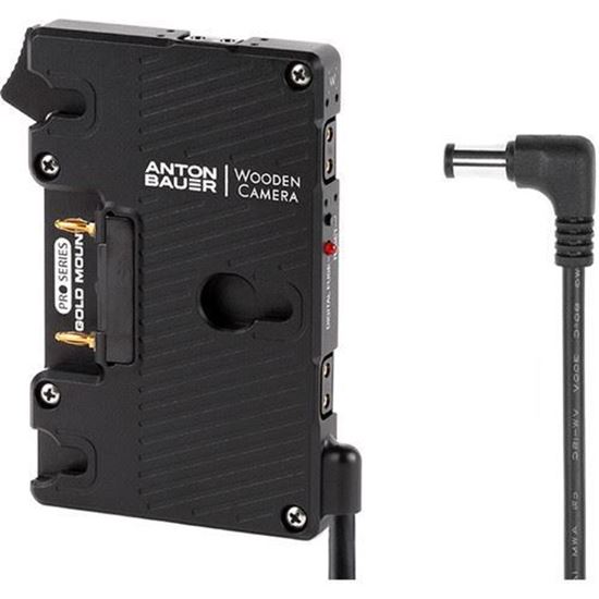 Picture of Wooden Camera Pro Gold Mount (Sony FS7, FS5, Panasonic EVA1)